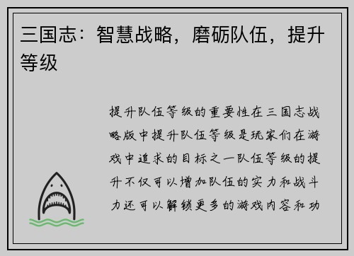 三国志：智慧战略，磨砺队伍，提升等级